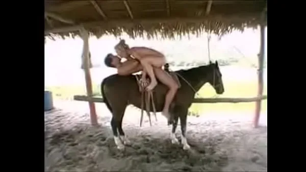 新鲜on the horse最好的视频