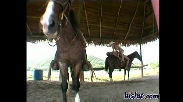 新鮮な馬にクソベスト動画