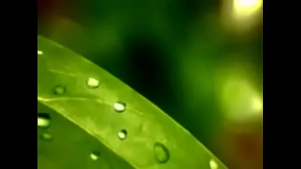 تازہ Short video clip-nature بہترین ویڈیوز