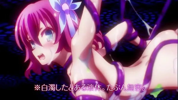 Fresh No Game No Life (2014) - Fanservice Compilation best Videos