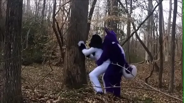 Friske Fursuit Couple Mating in Woods bedste videoer