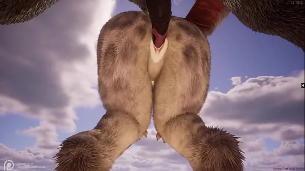 Tuoreet Wild Life Furry Hentai parasta videota